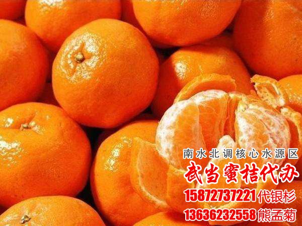 2016年“武当蜜橘”品牌价值达15亿元