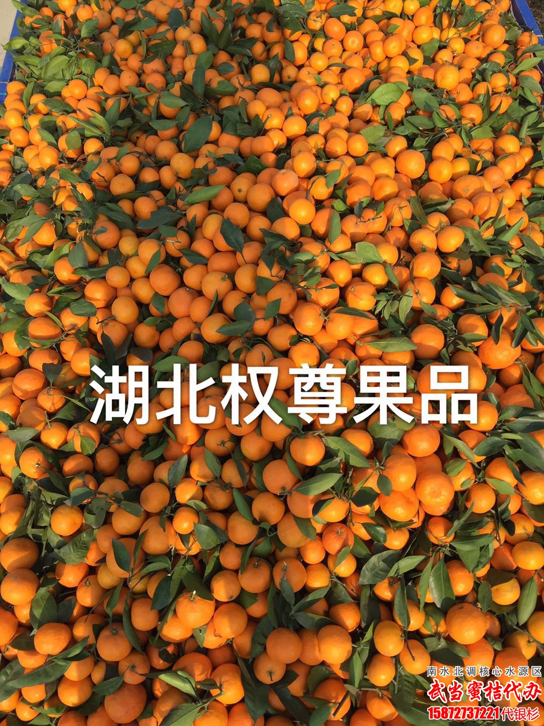 䵱|䵱|䵱۽
